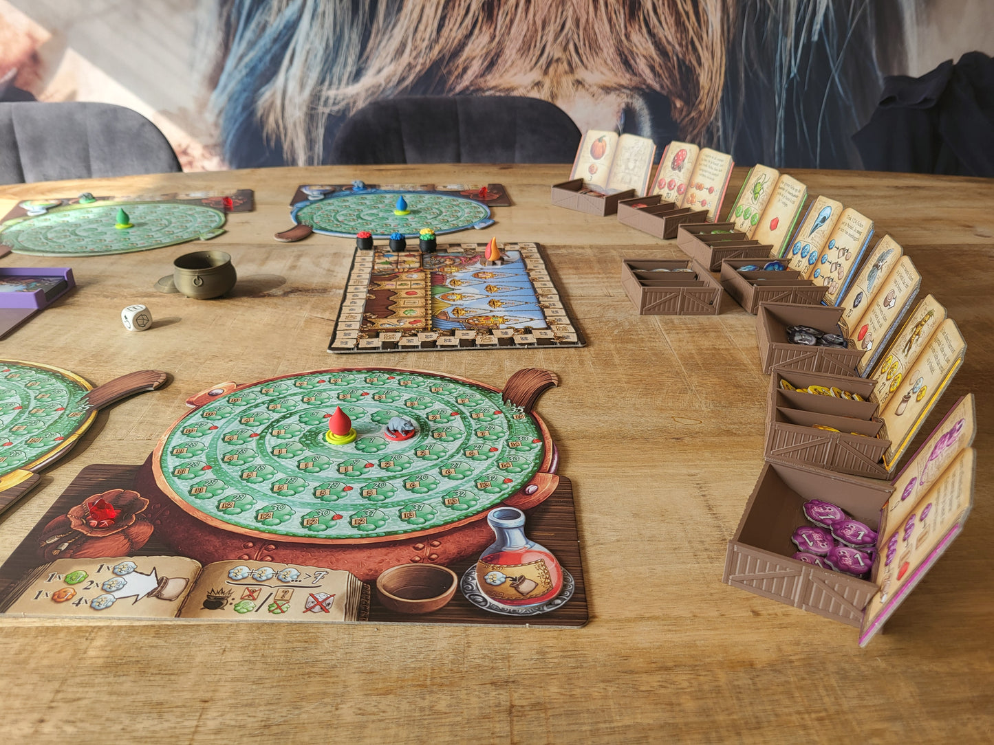 QUACKS | Pieces